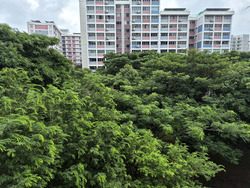 Blk 486 Pasir Ris Drive 4 (Pasir Ris), HDB 5 Rooms #584383541